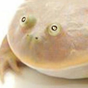 Meet your Posher, Derek